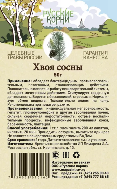 Сосна хвоя