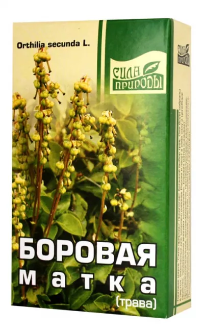 Боровая матка (ортилия однобокая), 30 г