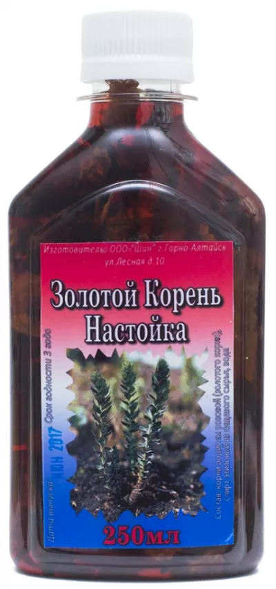 настойка золотого корня