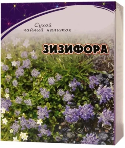 Зизифора (трава)