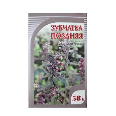 Зубчатка поздняя трава, 50 г