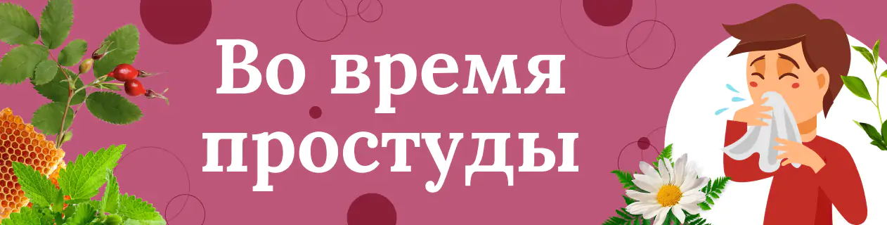 Топ-средств для поддержки организма во время ОРЗ и ОРВИ